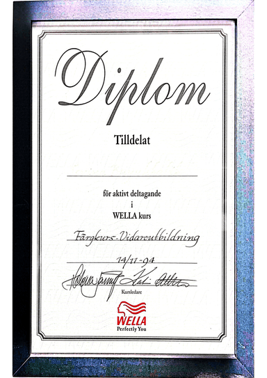 Diplom 6
